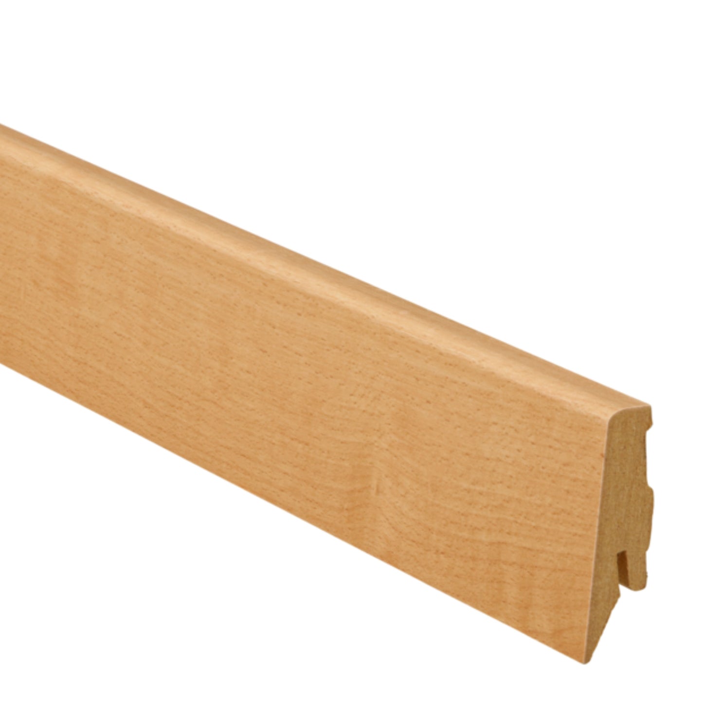 Ter Hürne Sockelleiste Furnier SKL-60 Buche OF 1230 305