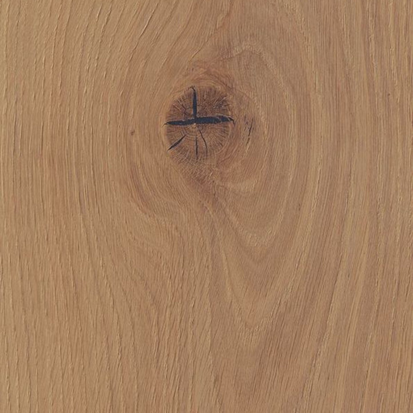 Thede & Witte Boston Landhausdiele Eiche XXL astig gebürstet geölt - Rohoptik