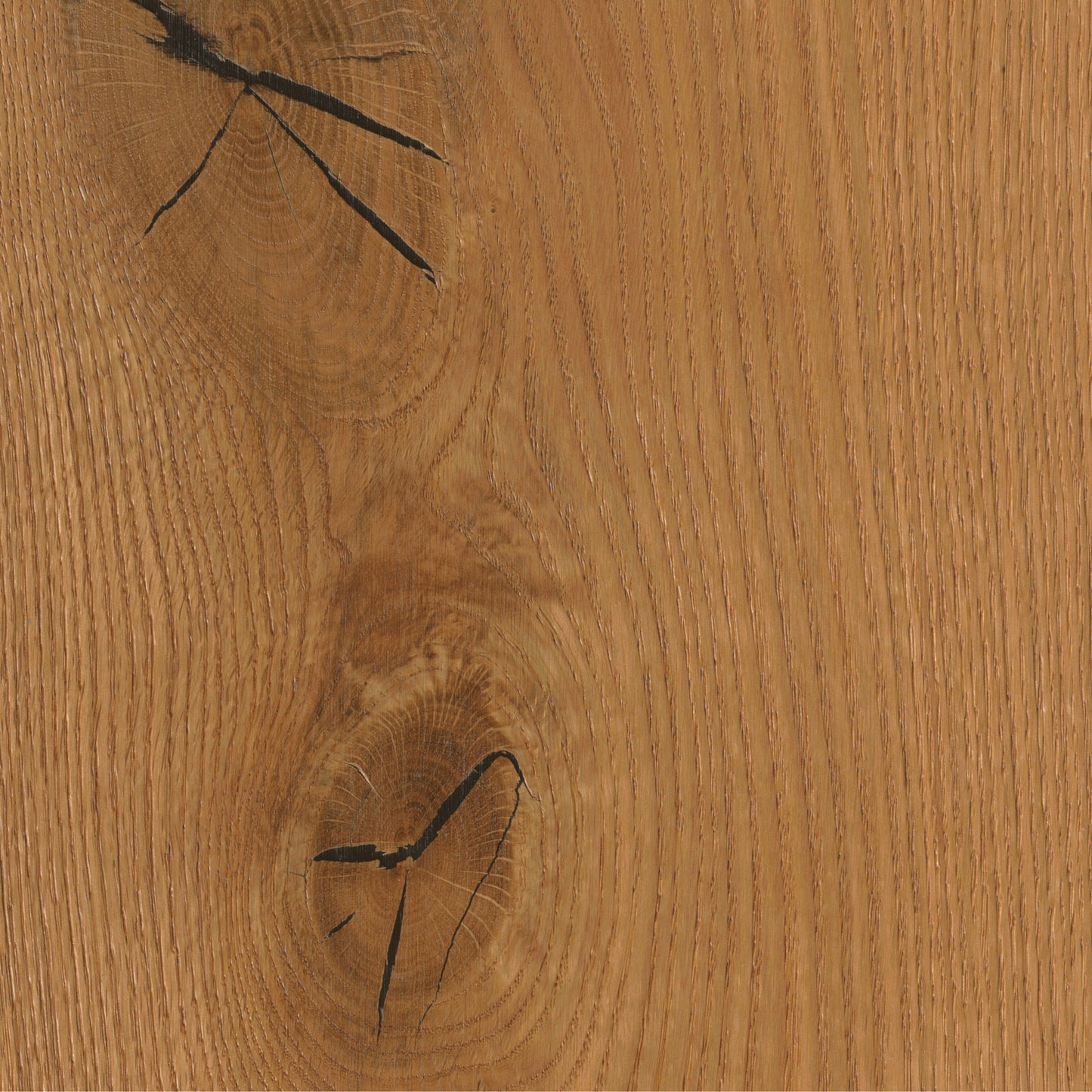 Thede & Witte Boston Landhausdiele Eiche XXL astig gebürstet geölt