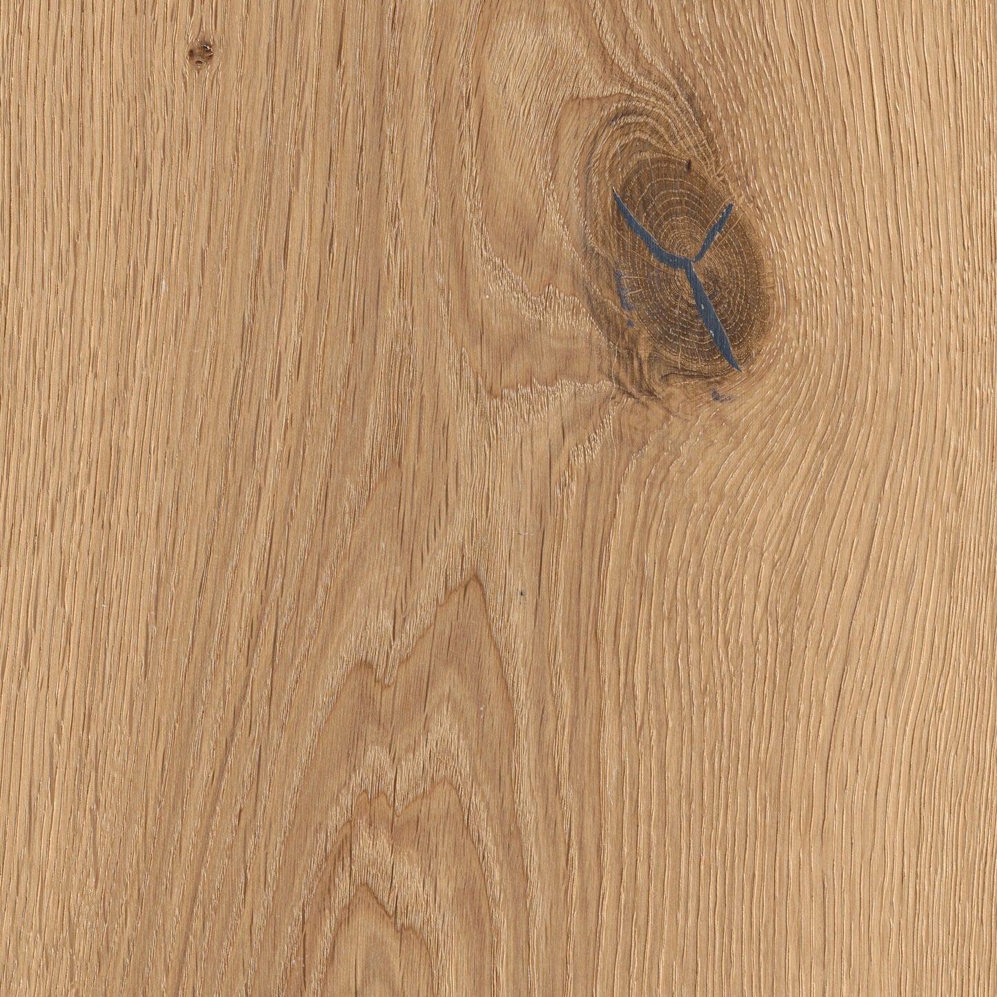 Thede & Witte Boston Landhausdiele Eiche XXL astig gebürstet weiß geölt