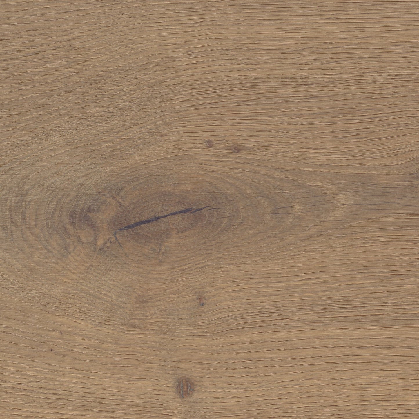 Thede & Witte Boston Landhausdiele Eiche astig gebürstet geräuchert weiß geölt