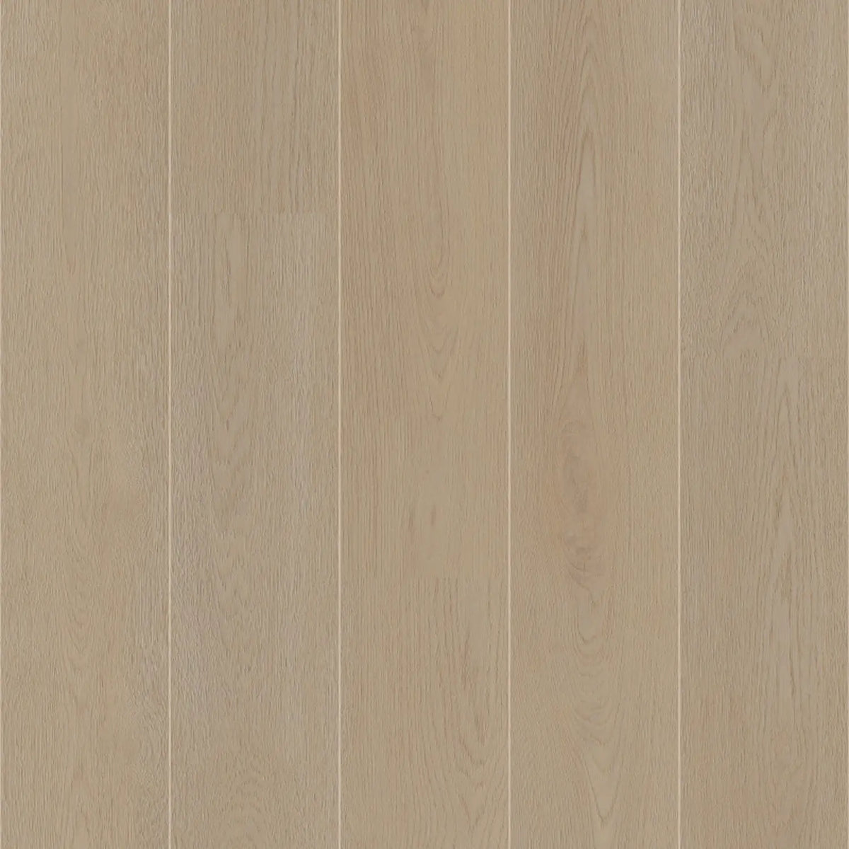 Coretec, Naturals 1800 Barley, XL-Landhausdiele Coretec