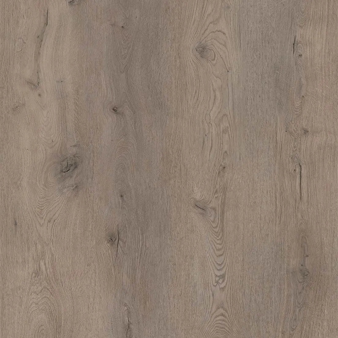 Coretec, XL-END Belvoir, XL-Landhausdiele Coretec