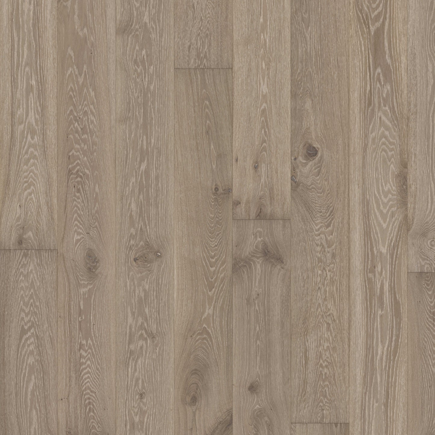 Kährs Parkett Eiche Nouveau Gray Landhausdiele EVO