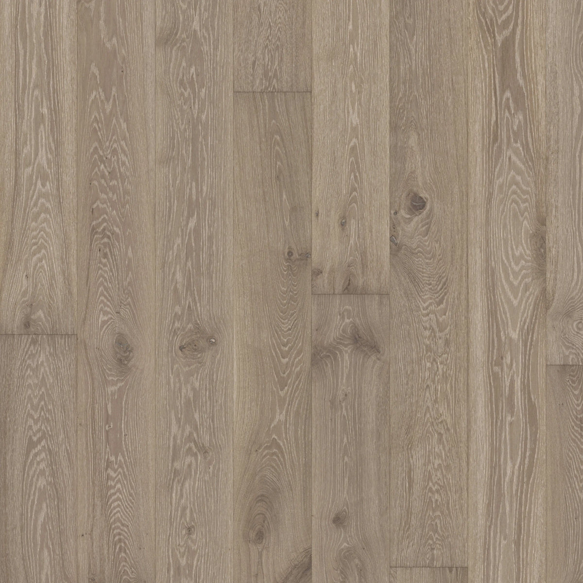 Kährs Parkett Eiche Nouveau Gray Landhausdiele EVO Kährs