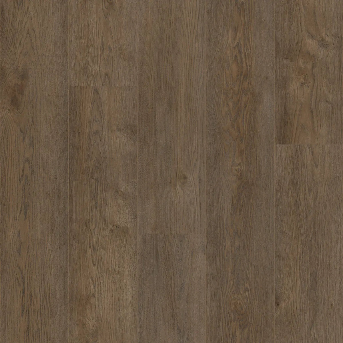 Coretec, Naturals 1800 Elon, XL-Landhausdiele Coretec