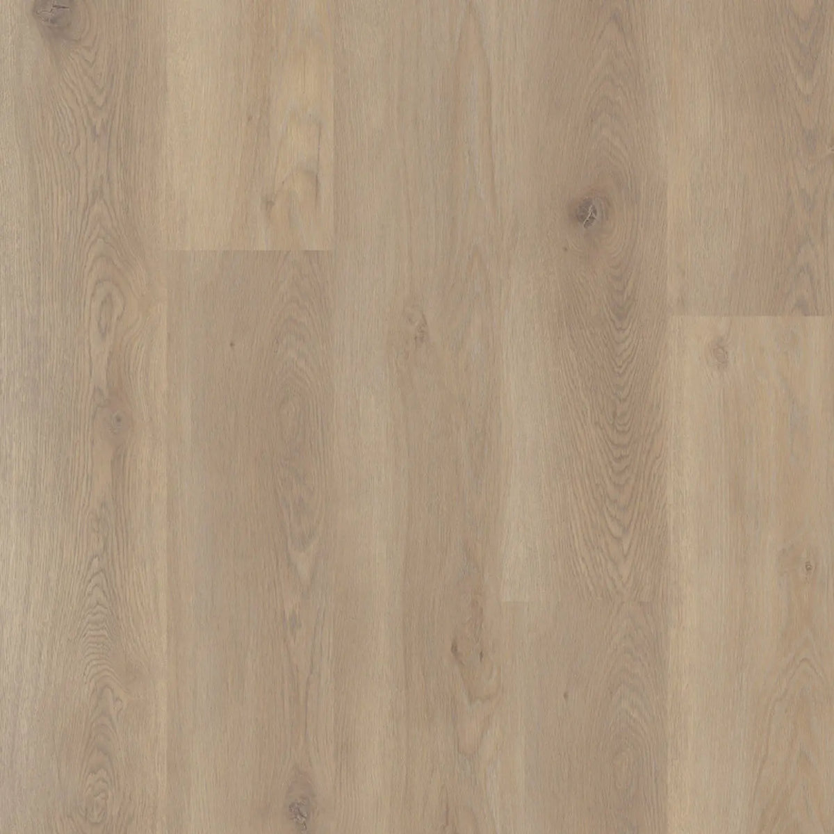 Coretec, Naturals 1200 Meadow, Landhausdiele Coretec