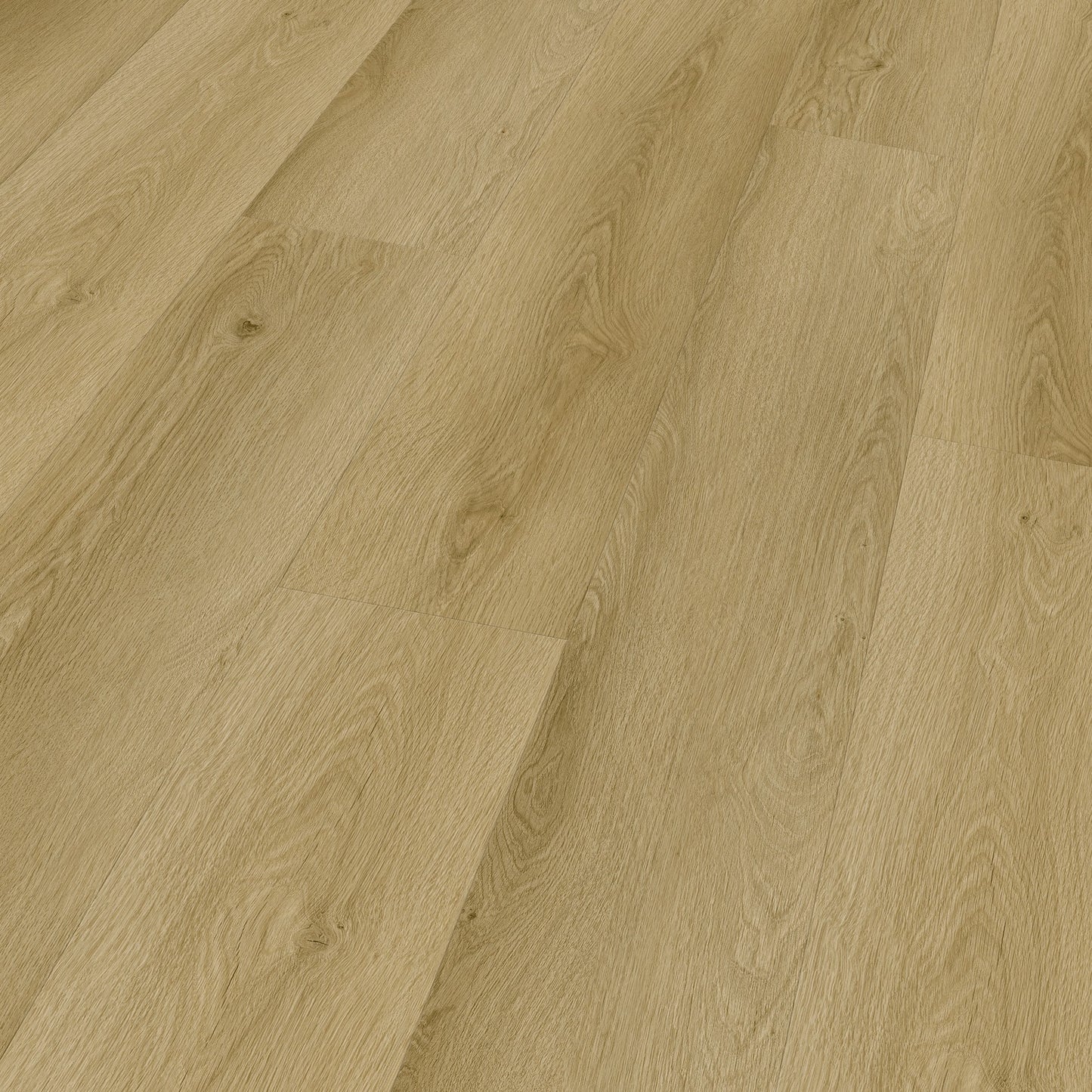 Ter Hürne Vinylboden, Eiche Zandvoort, Solid,  Soya 2, XL-Landhausdiele