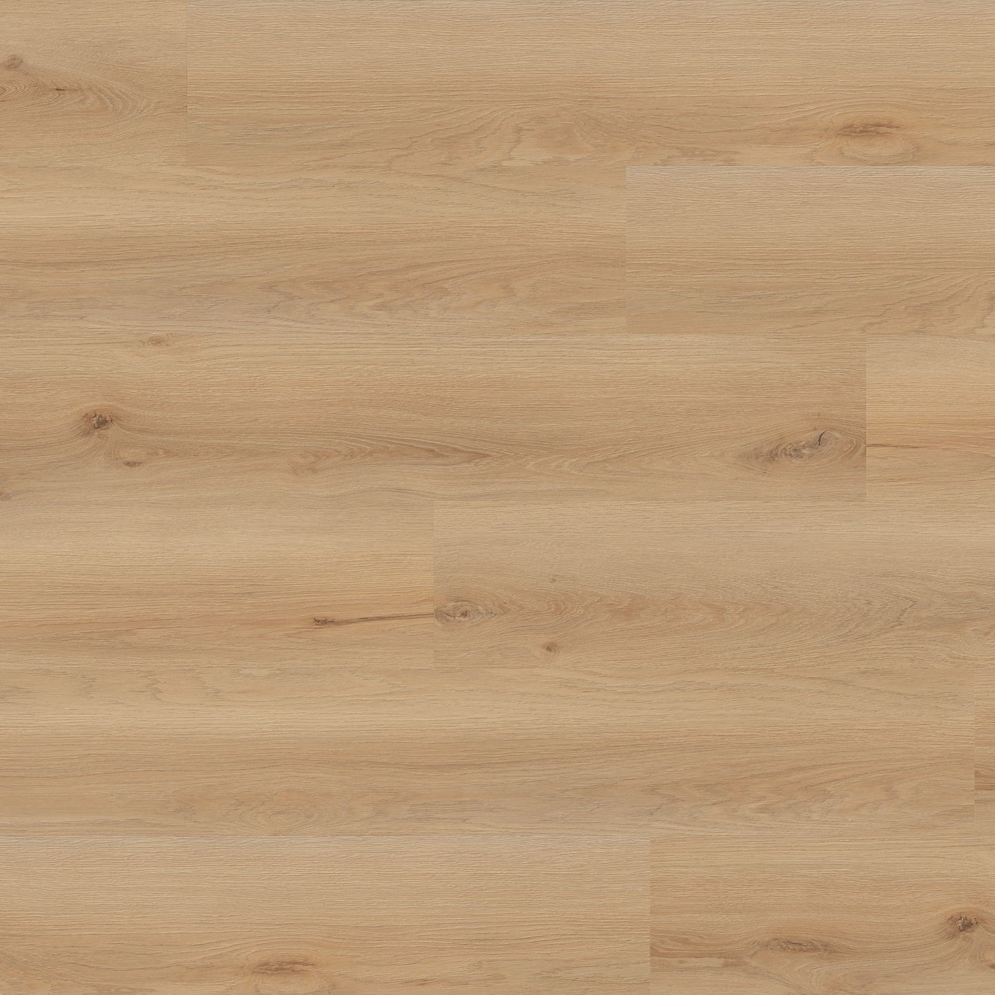 Ter Hürne Vinylboden, Eiche Rotterdam, Perform, Soya 1, XL-Landhausdiele