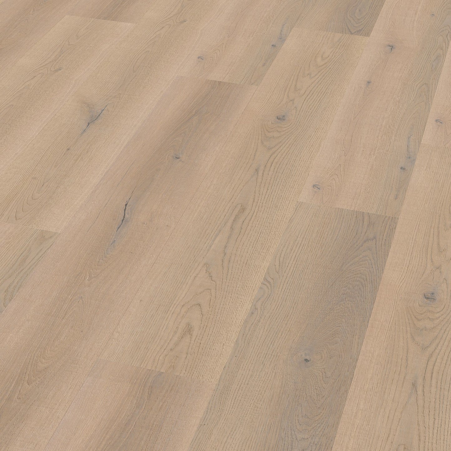 Ter Hürne Vinylboden, Eiche Antwerpen, Comfort, Soya 1, XL-Landhausdiele