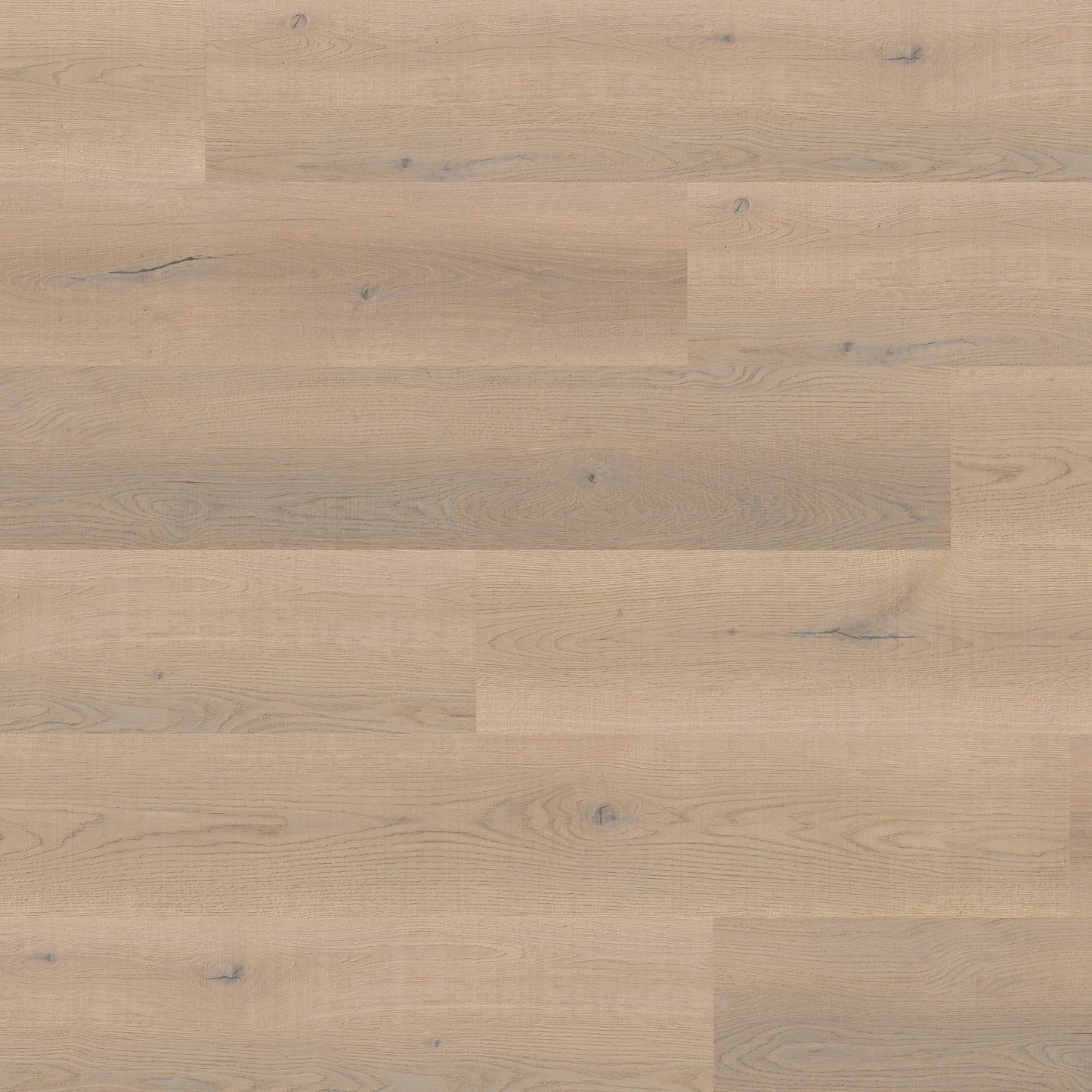 Ter Hürne Vinylboden, Eiche Antwerpen, Pro, Soya 1, XL-Landhausdiele