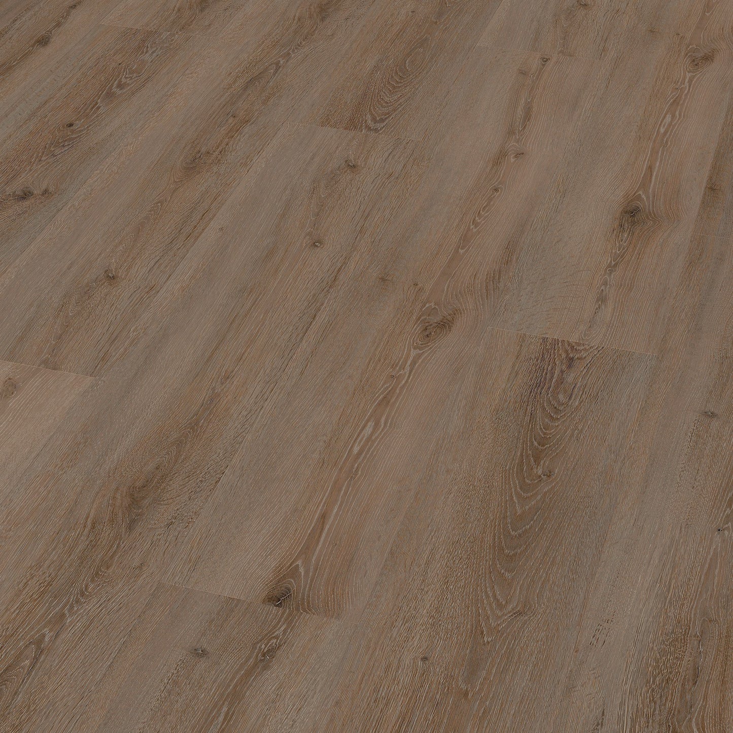 Ter Hürne Vinylboden, Eiche Riga, Pro, Soya 2, XL-Landhausdiele