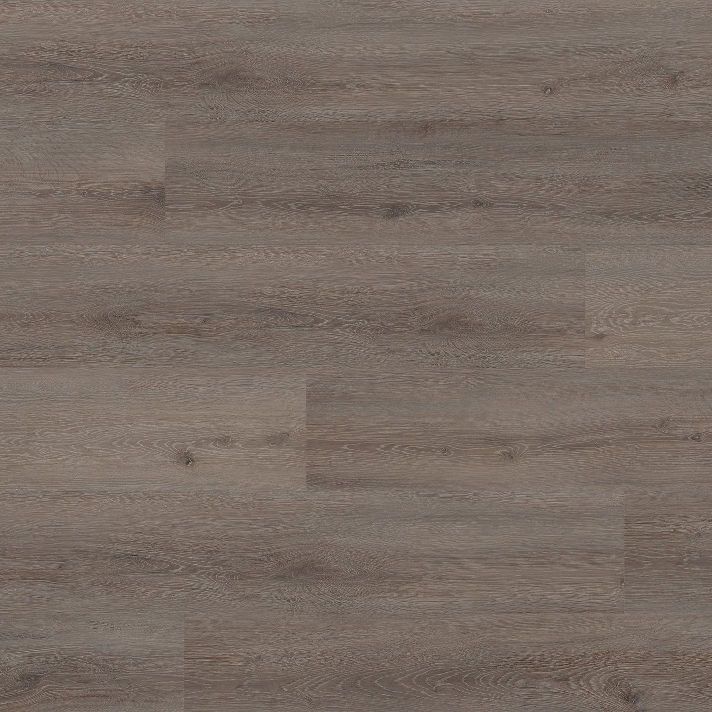 Ter Hürne Vinylboden, Eiche Triest, Pro, Soya 2, XL-Landhausdiele