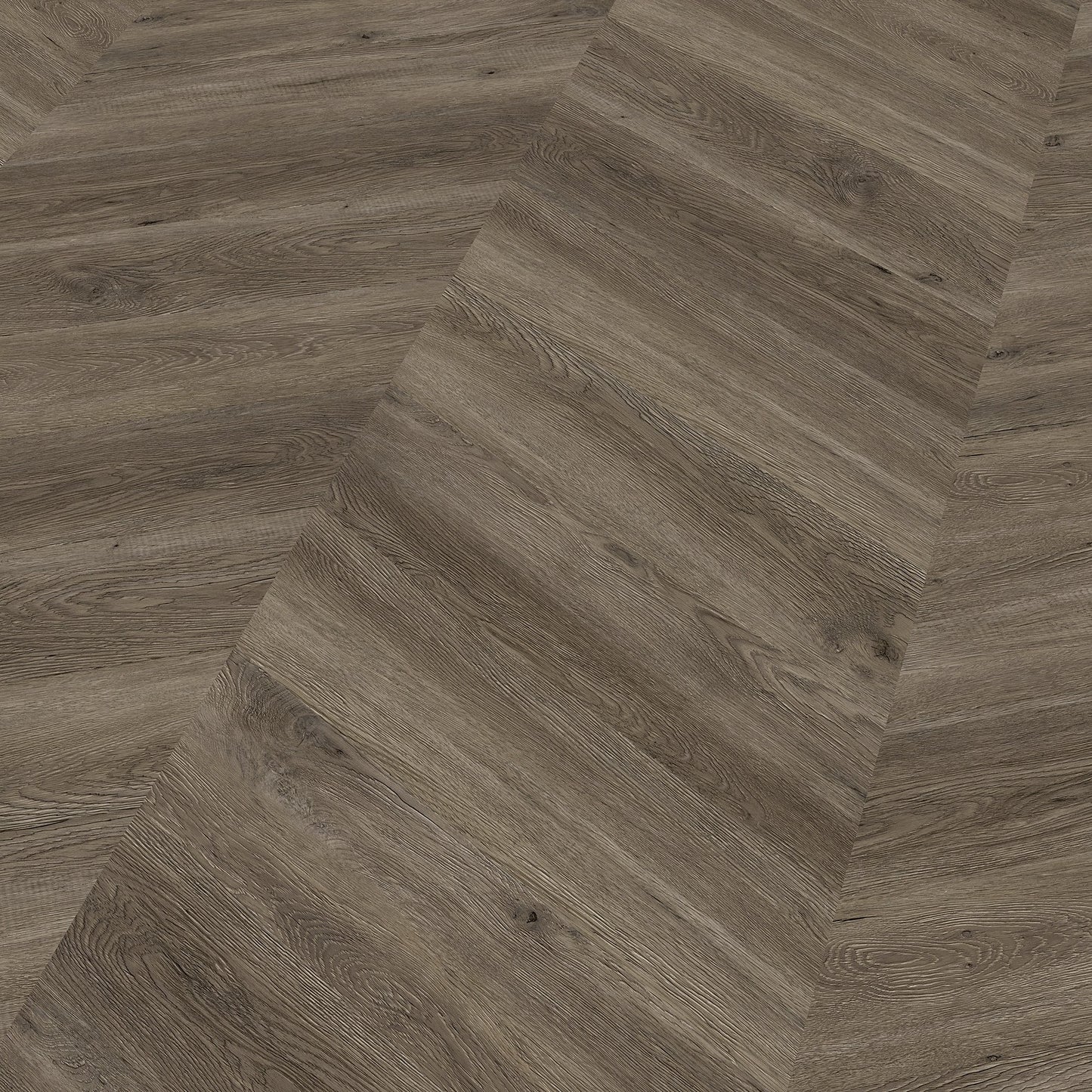 Ter Hürne Vinylboden, Eiche Canberra, Perform,  Soya 1, Chevron