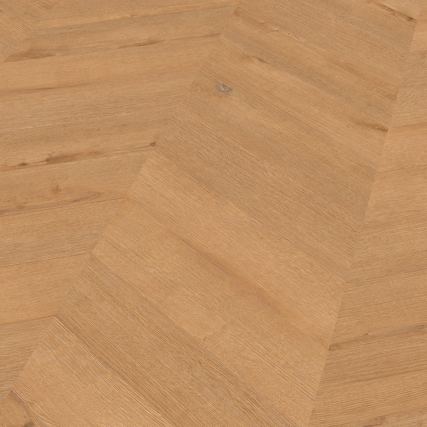 Ter Hürne Vinylboden, Eiche Hamburg, Pro, Soya 1, Chevron