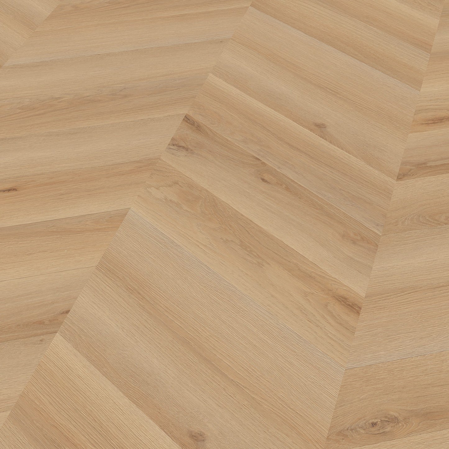 Ter Hürne Vinylboden, Eiche Rotterdam, Pro, Soya 1, Chevron