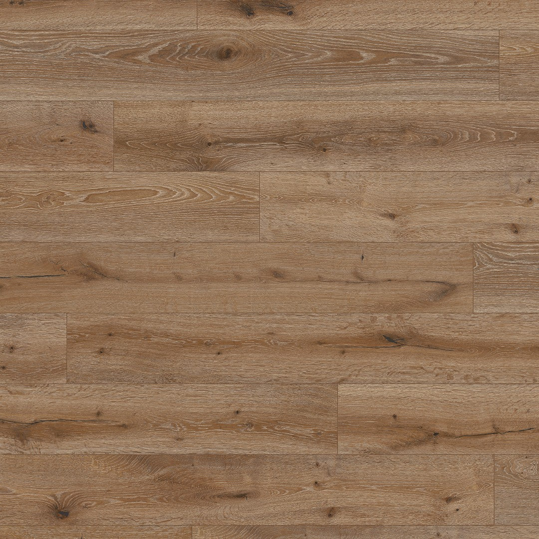 ter Hürne Avatara Eiche Lyra, Pro