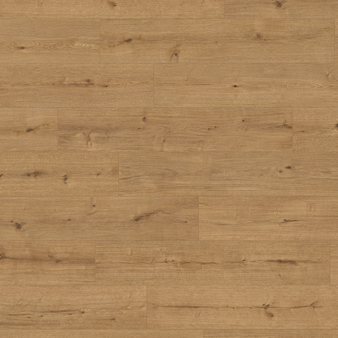 ter Hürne Avatara Eiche Askella, Pro