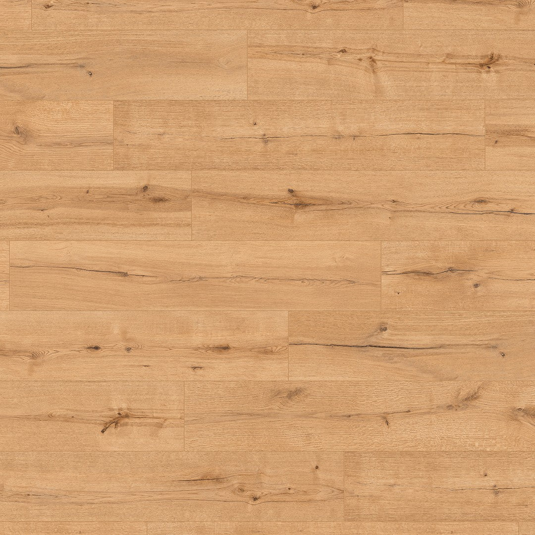 ter Hürne Avatara Eiche Kuma, Pro