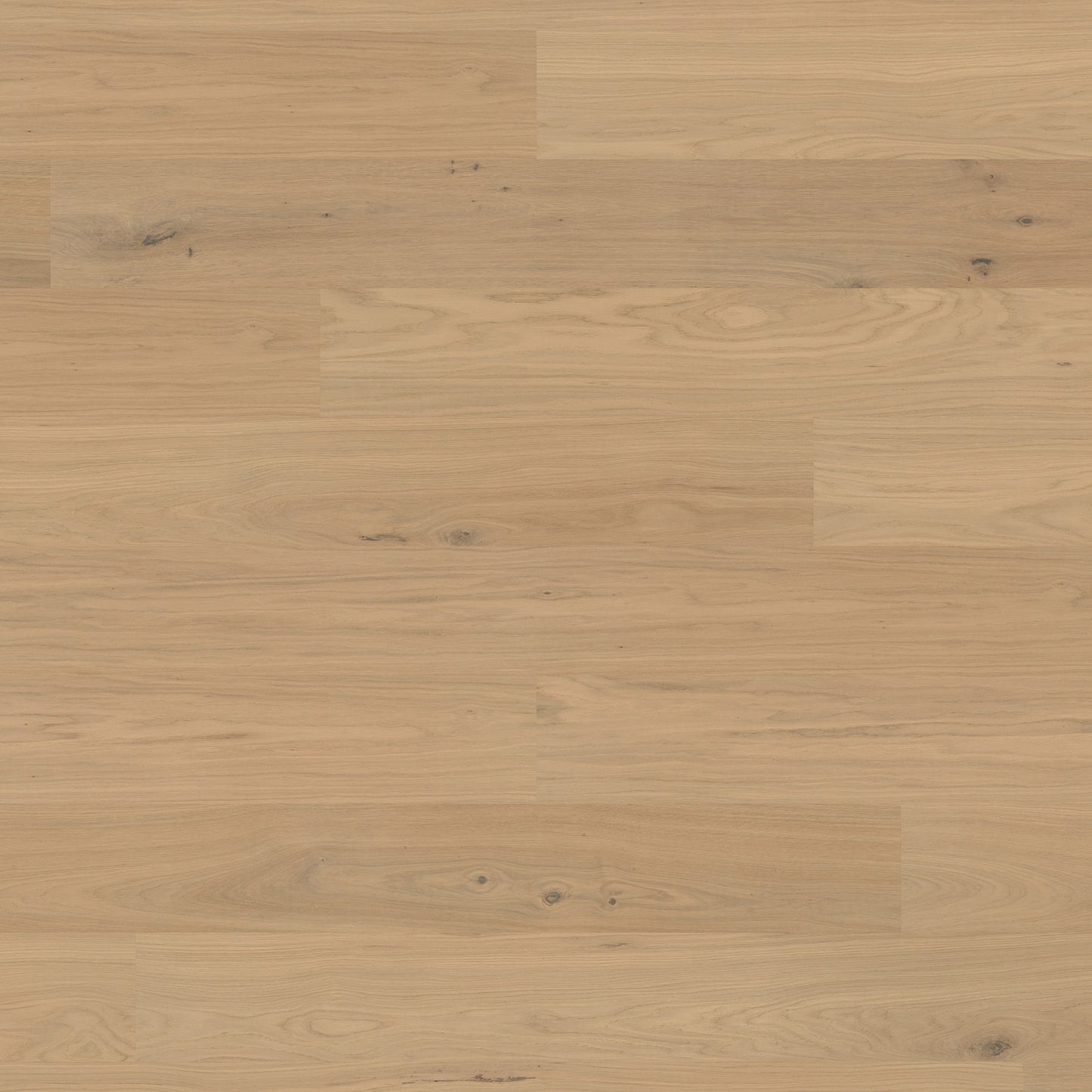 ter Hürne Hywood Eiche Parc Ela, Landhausdiele, OLIO