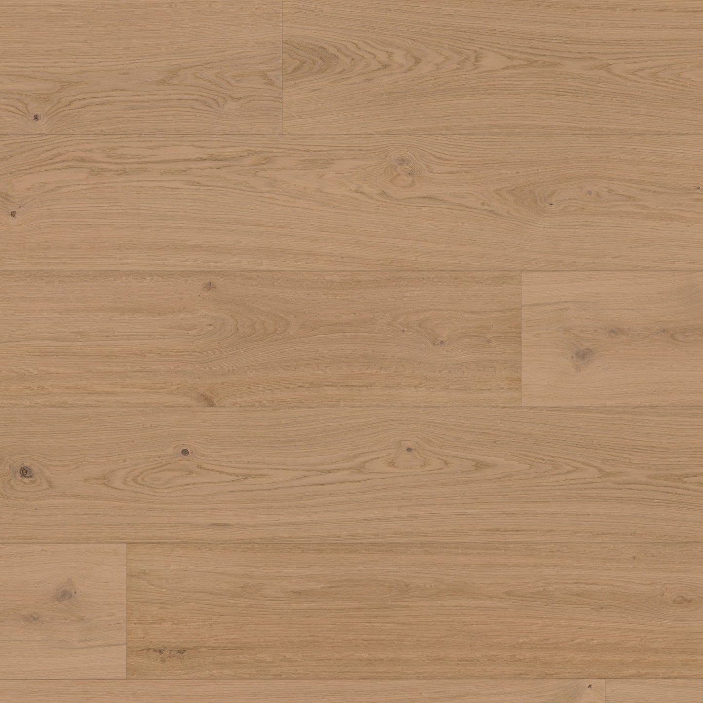 ter Hürne Hywood Eiche Pirin, Schlossdiele, EVO