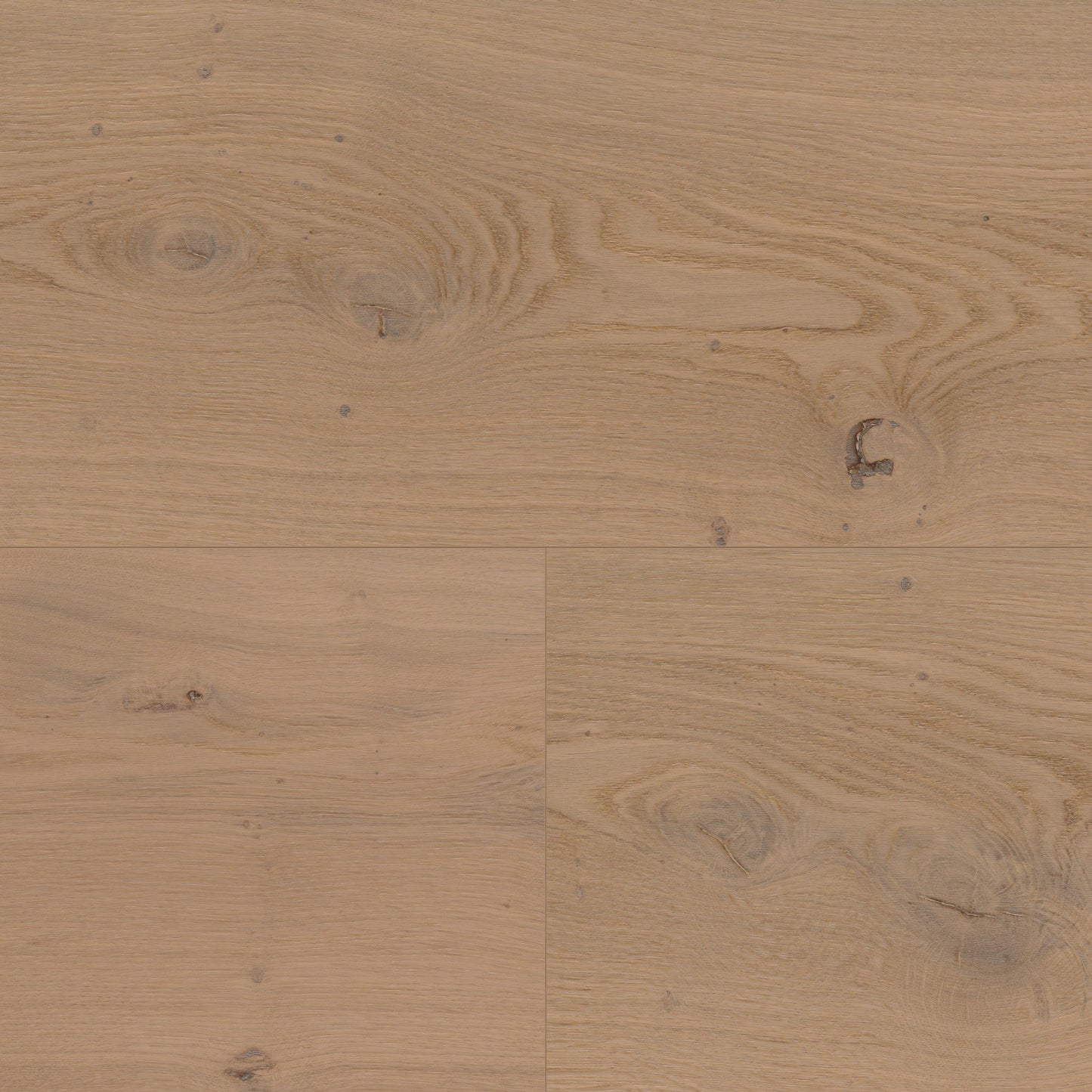 ter Hürne Hywood Eiche Nieuw Land, Schlossdiele, EVO