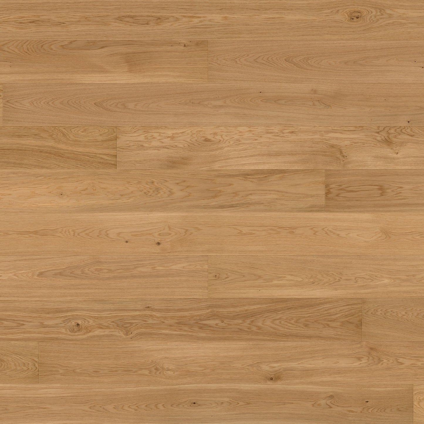 ter Hürne Parkett Eiche Silver Lake Landhausdiele EVO