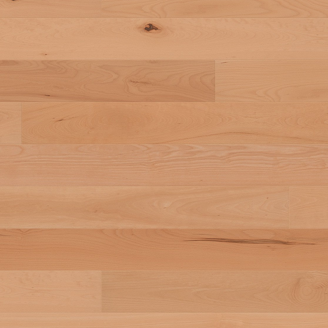 ter Hürne Parkett Buche Santa Cruz Landhausdiele EVO