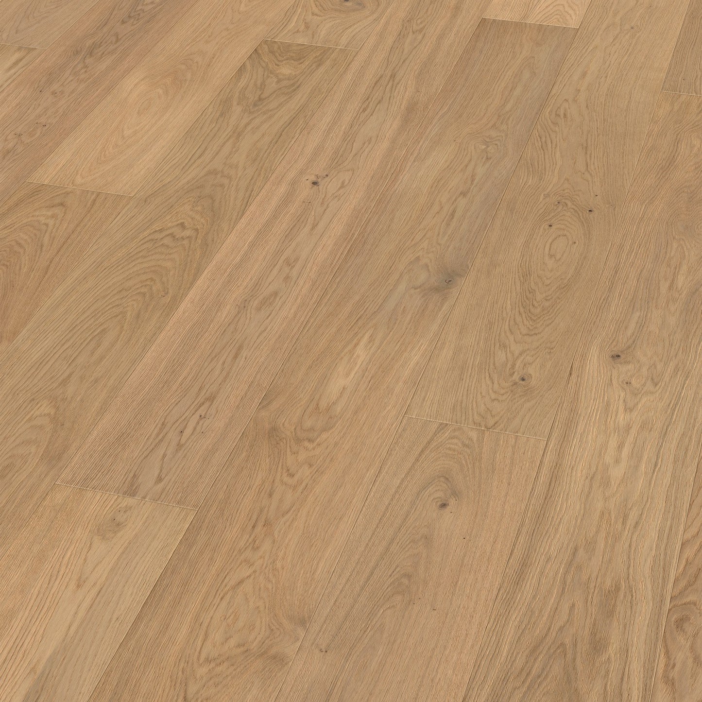 ter Hürne Parkett Eiche San Berillo Landhausdiele OLIO