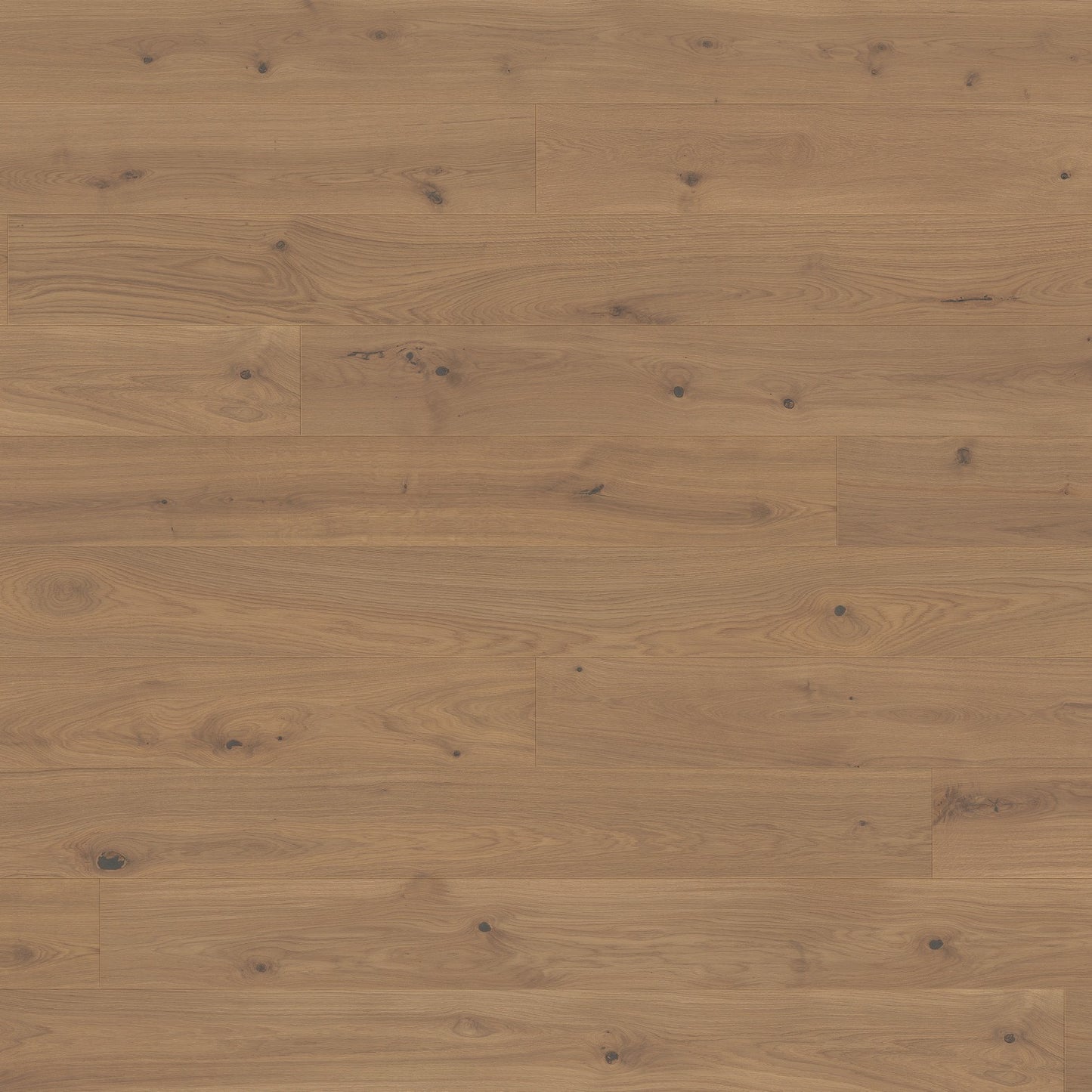 ter Hürne Parkett Eiche Belem Landhausdiele OLIO