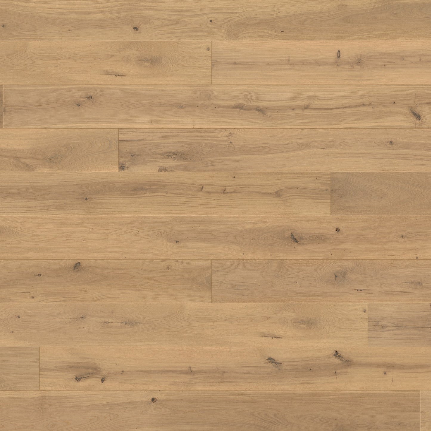 ter Hürne Parkett Eiche Capitole Landhausdiele OLIO