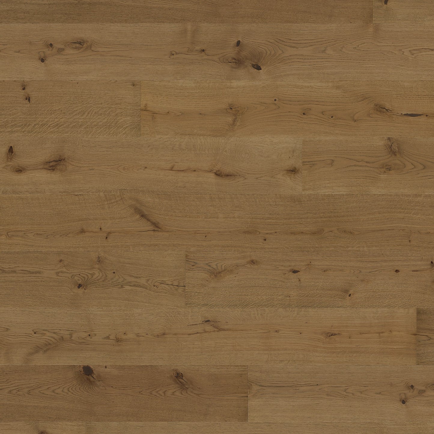 ter Hürne Parkett Eiche South Bank Landhausdiele OLIO