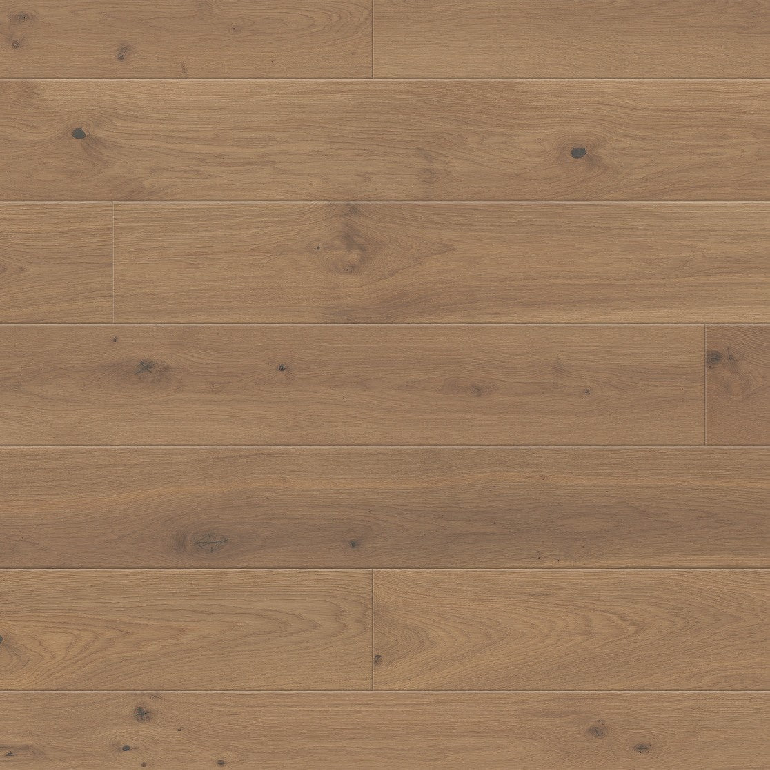 ter Hürne Parkett Eiche La Ponche Landhausdiele OLIO