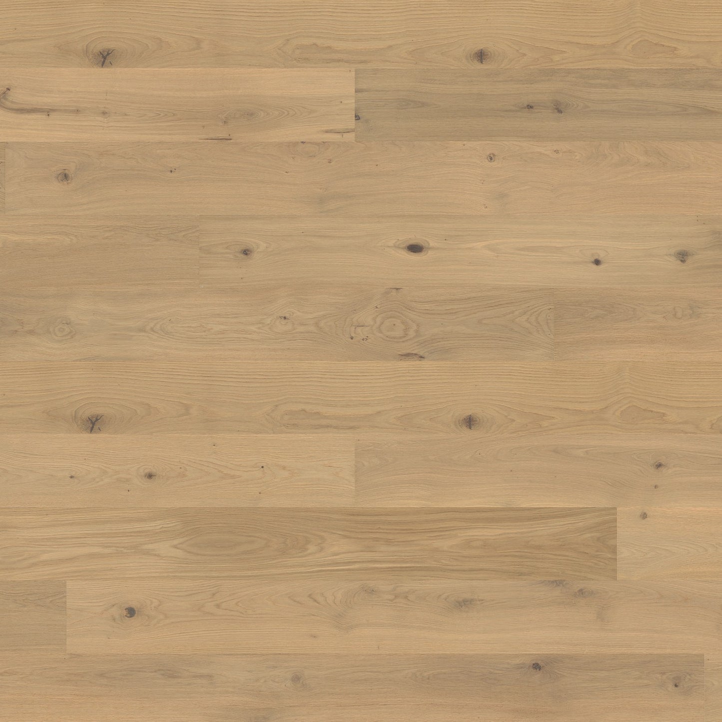 ter Hürne Parkett Eiche Mayfair Landhausdiele OLIO