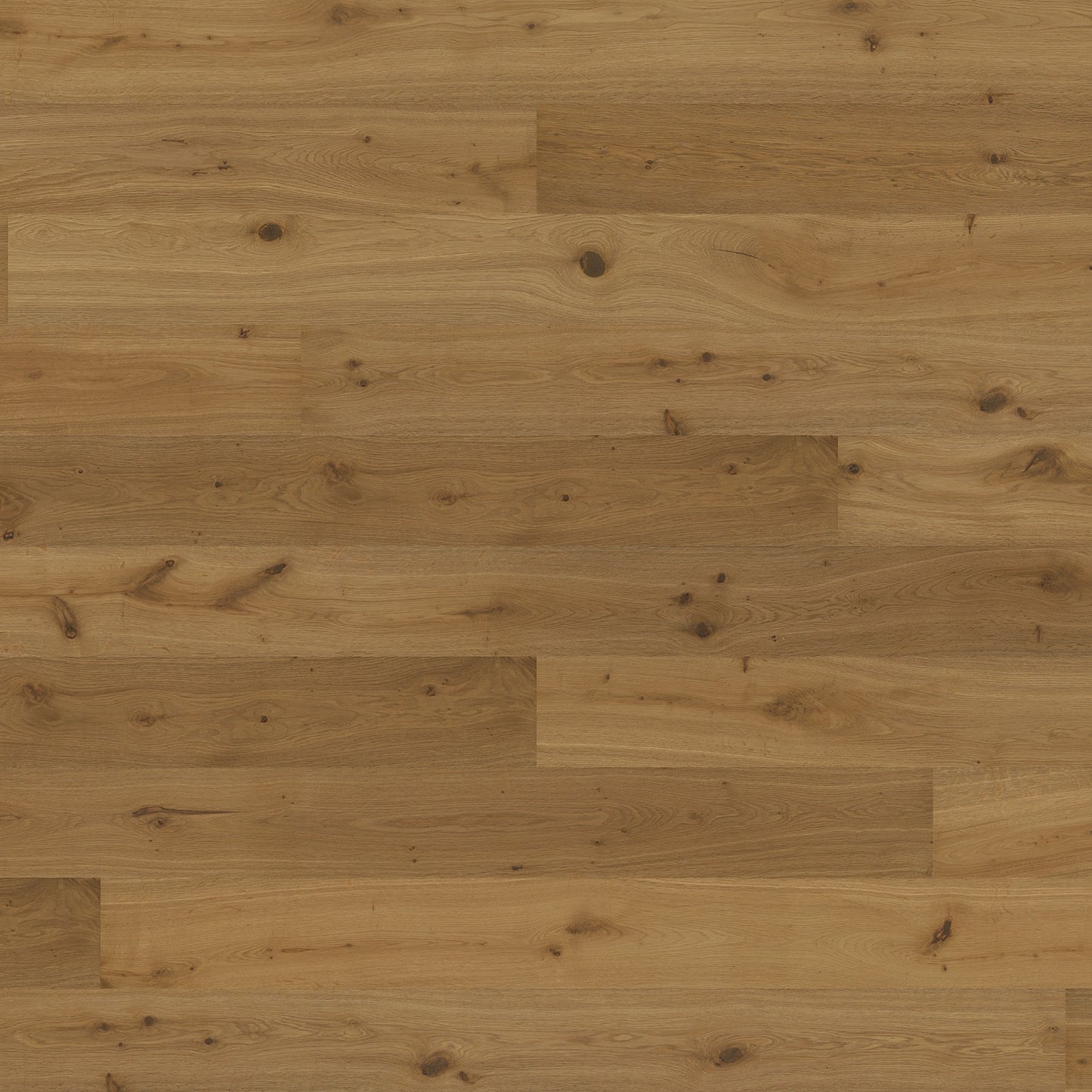 ter Hürne Parkett Eiche Montmartre Landhausdiele OLIO