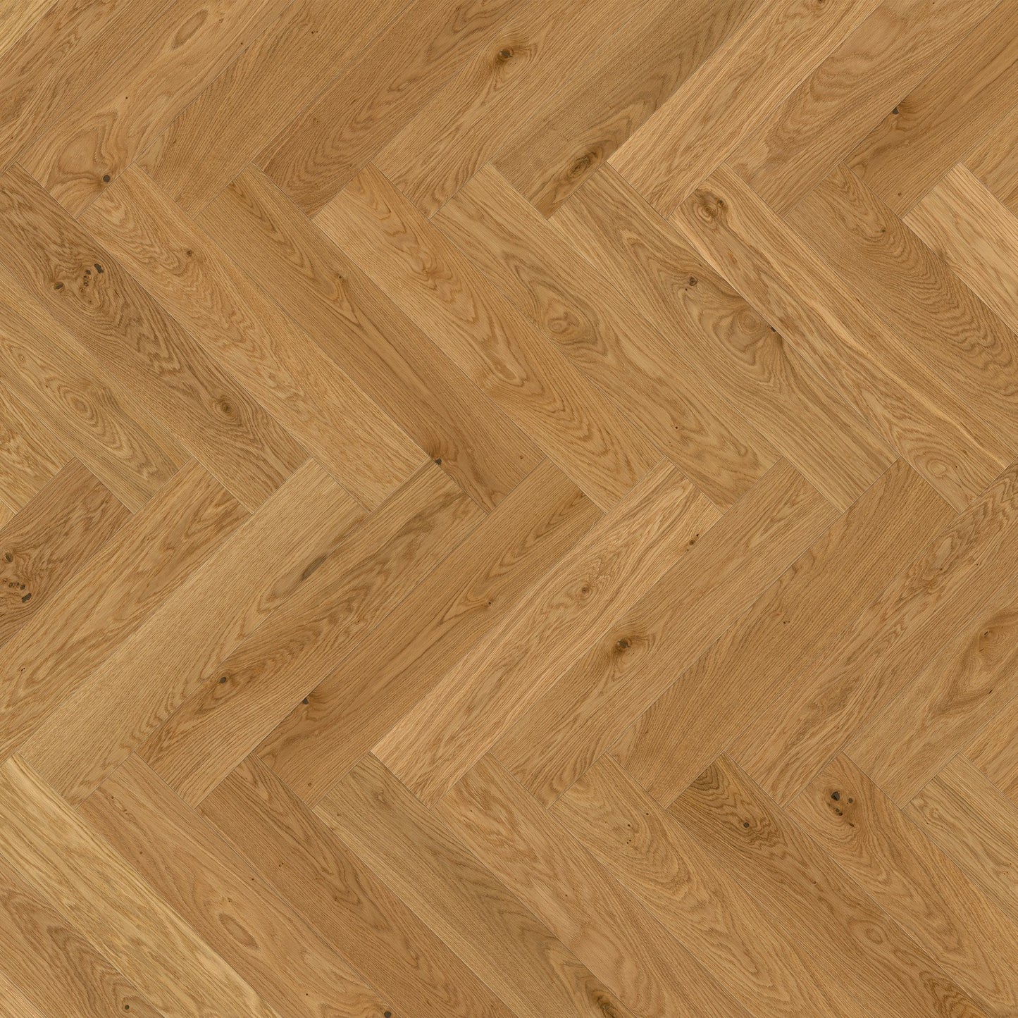 ter Hürne Parkett Eiche Jordaan Fischgrät OLIO
