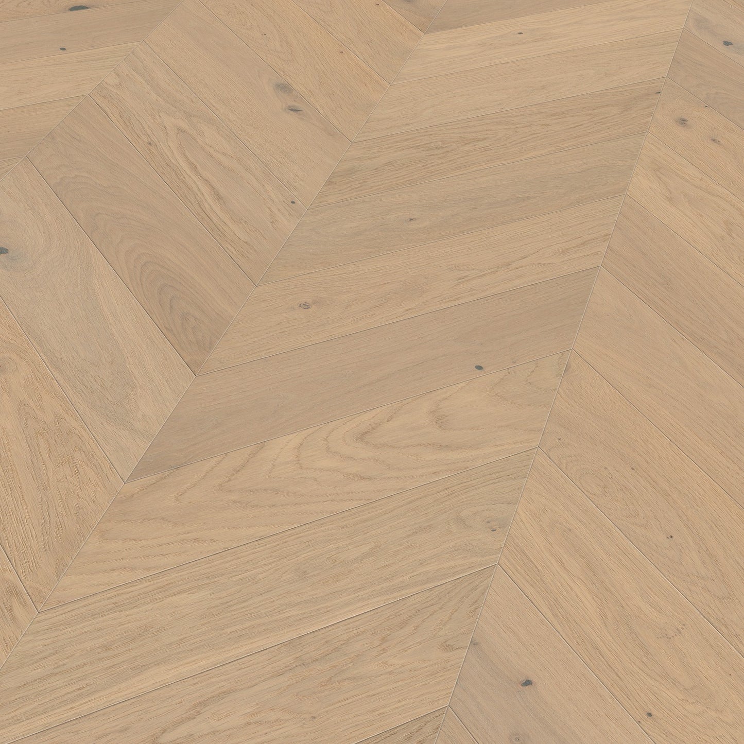 ter Hürne Parkett Eiche Het Zand Chevron OLIO