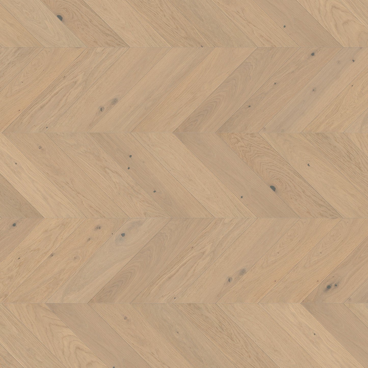 ter Hürne Parkett Eiche Het Zand Chevron OLIO