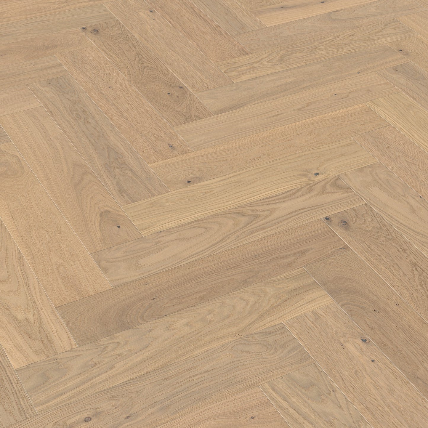 ter Hürne Parkett Eiche Kralingen Fischgrät EVO