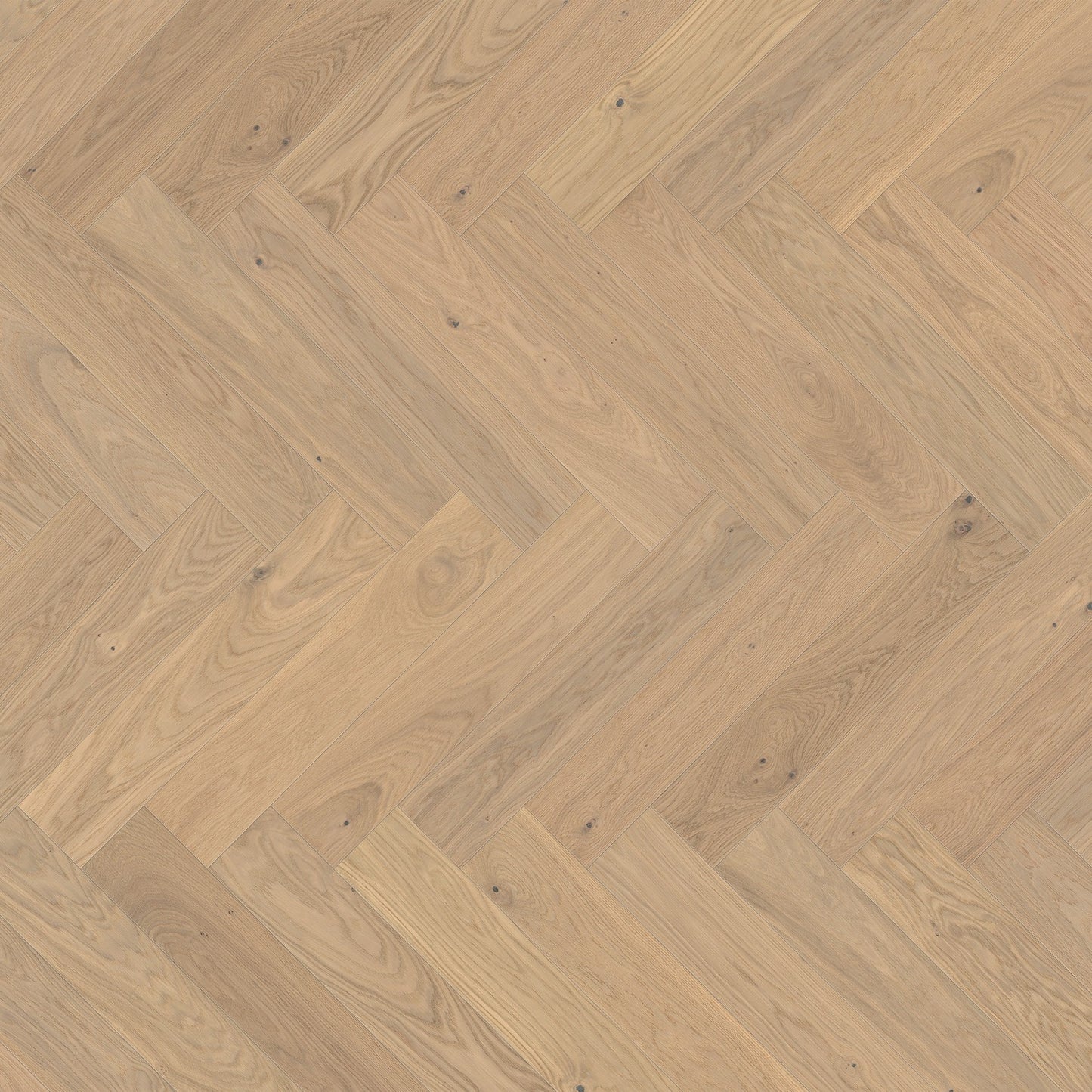 ter Hürne Parkett Eiche Kralingen Fischgrät EVO