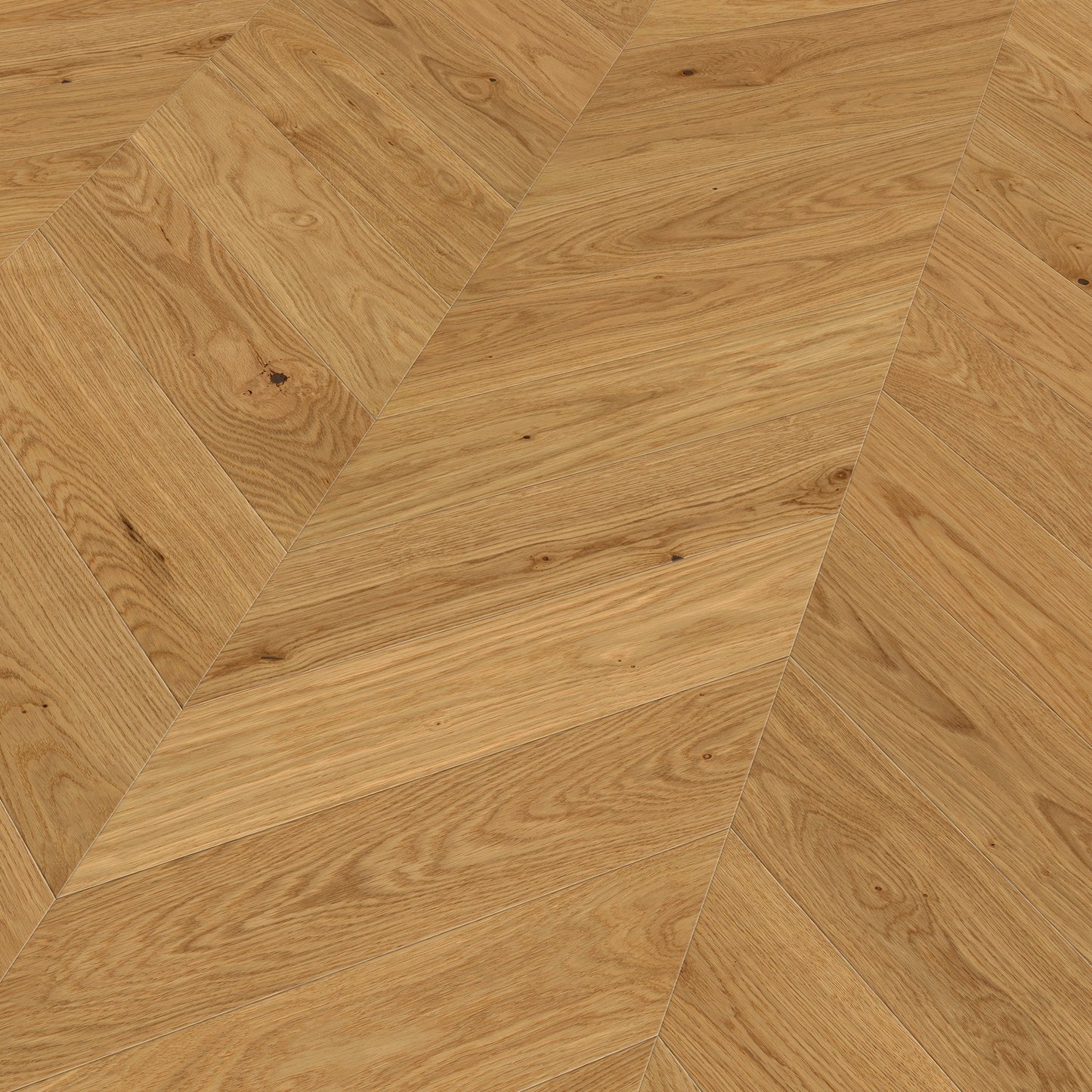 ter Hürne Parkett Eiche Jambes Chevron EVO