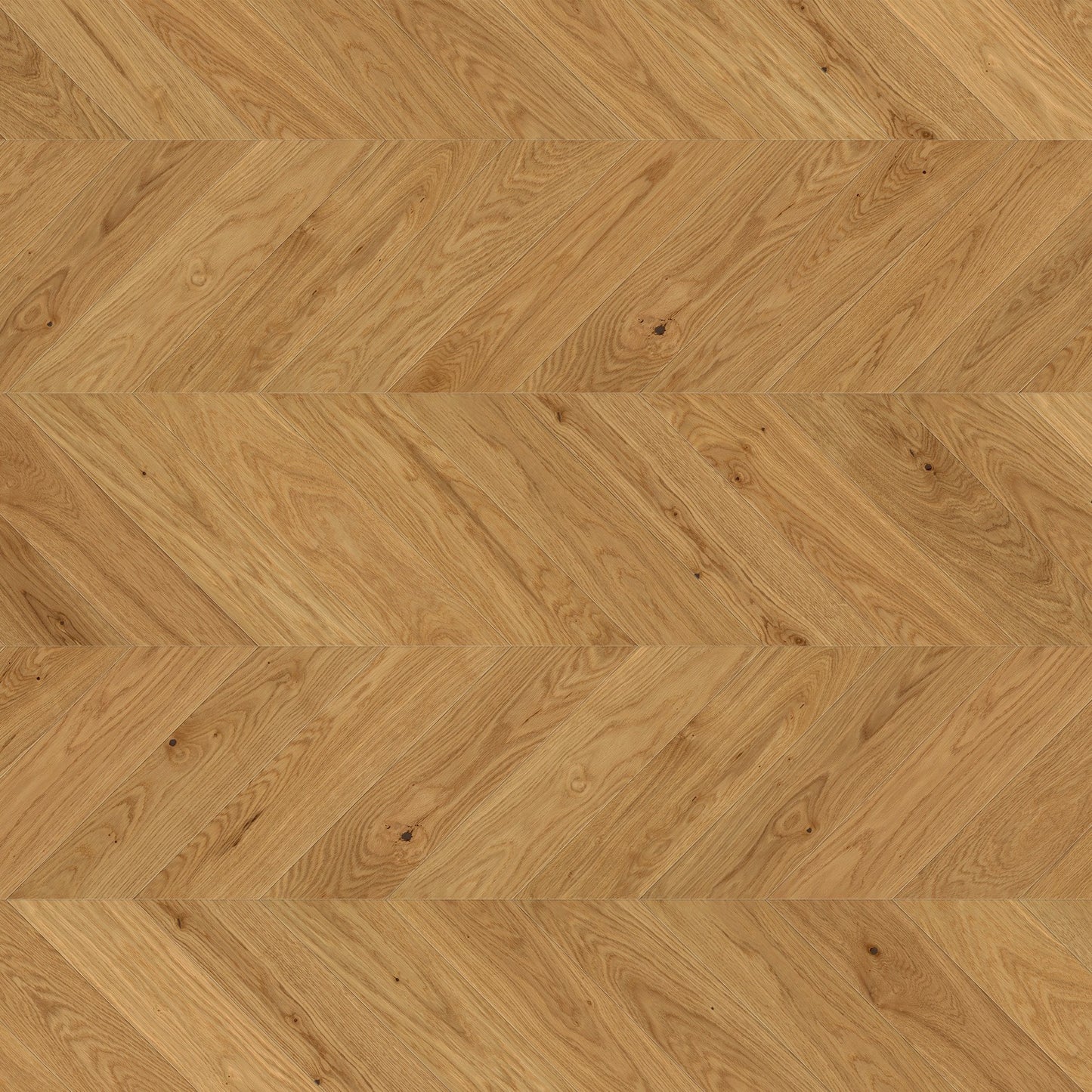 ter Hürne Parkett Eiche Jambes Chevron EVO