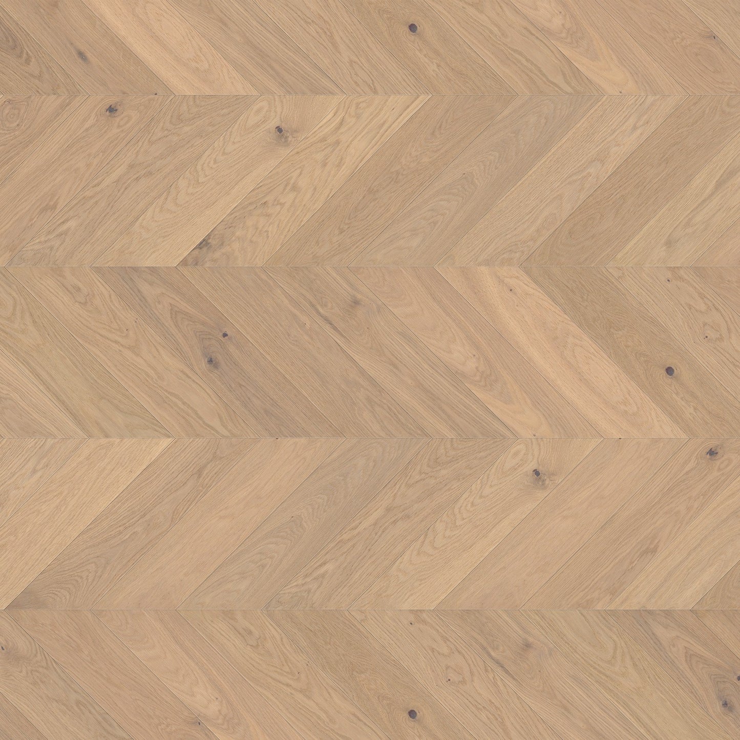 ter Hürne Parkett Eiche Ravello Chevron EVO