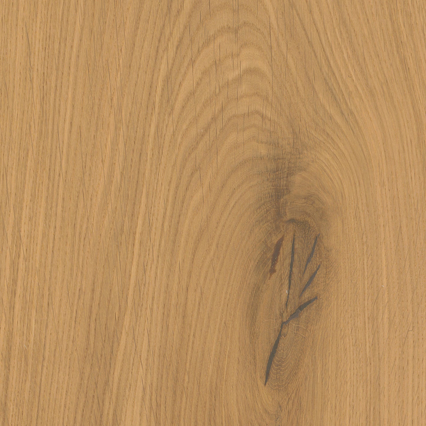 Thede & Witte Boston Landhausdiele Eiche XL astig gebürstet leicht weiß geölt