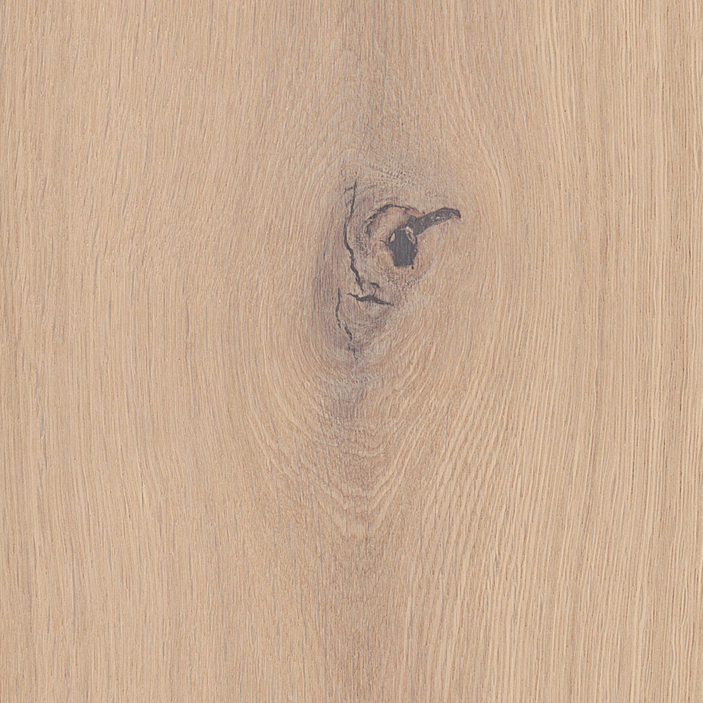 Thede & Witte Boston Landhausdiele Eiche astig gebürstet weiß matt versiegelt