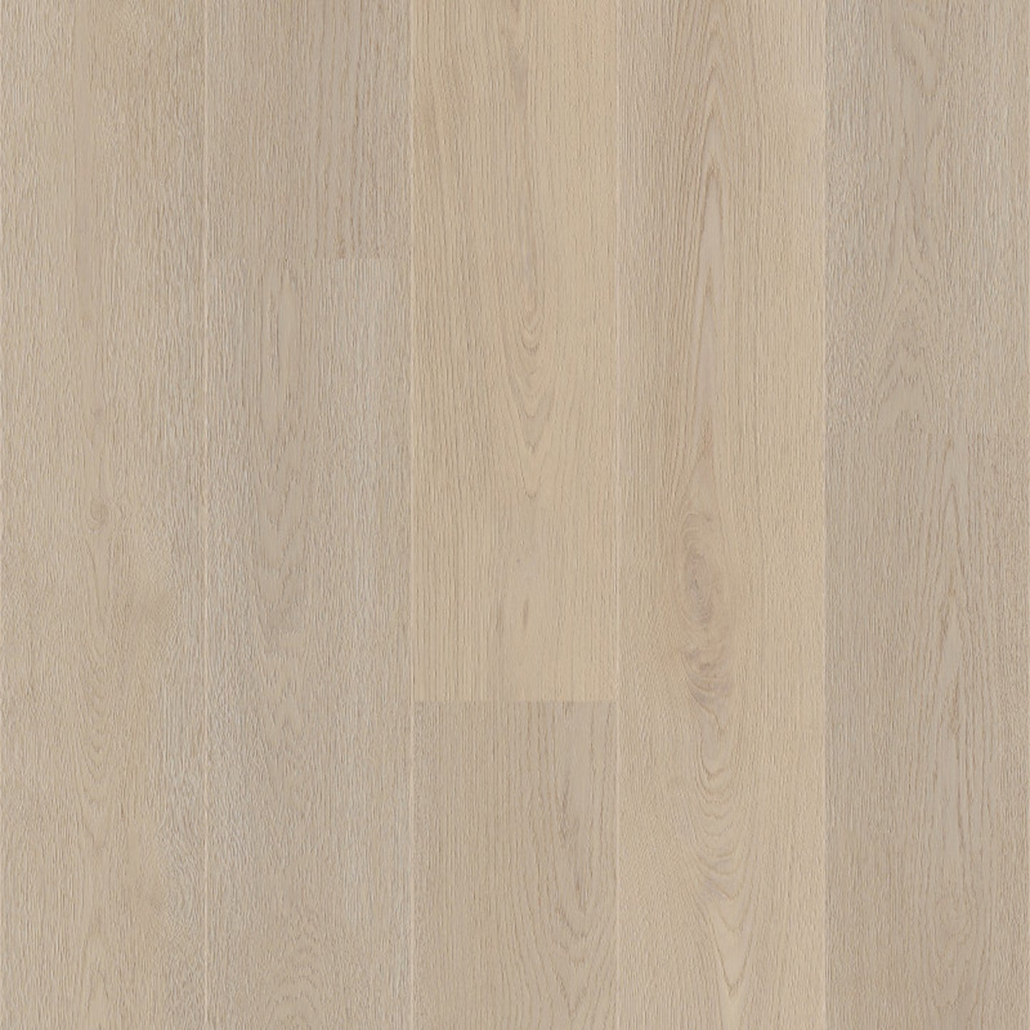Coretec, Naturals 1800 Aurora, XL-Landhausdiele