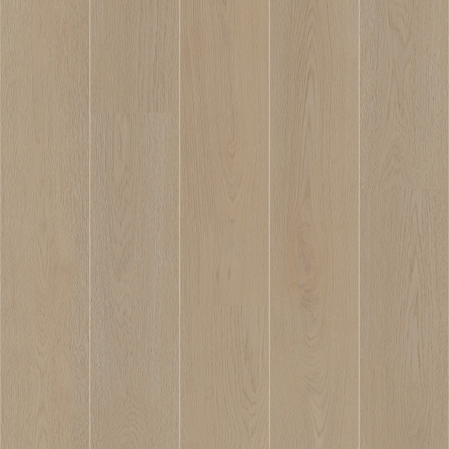 Coretec, Naturals 1800 Barley, XL-Landhausdiele