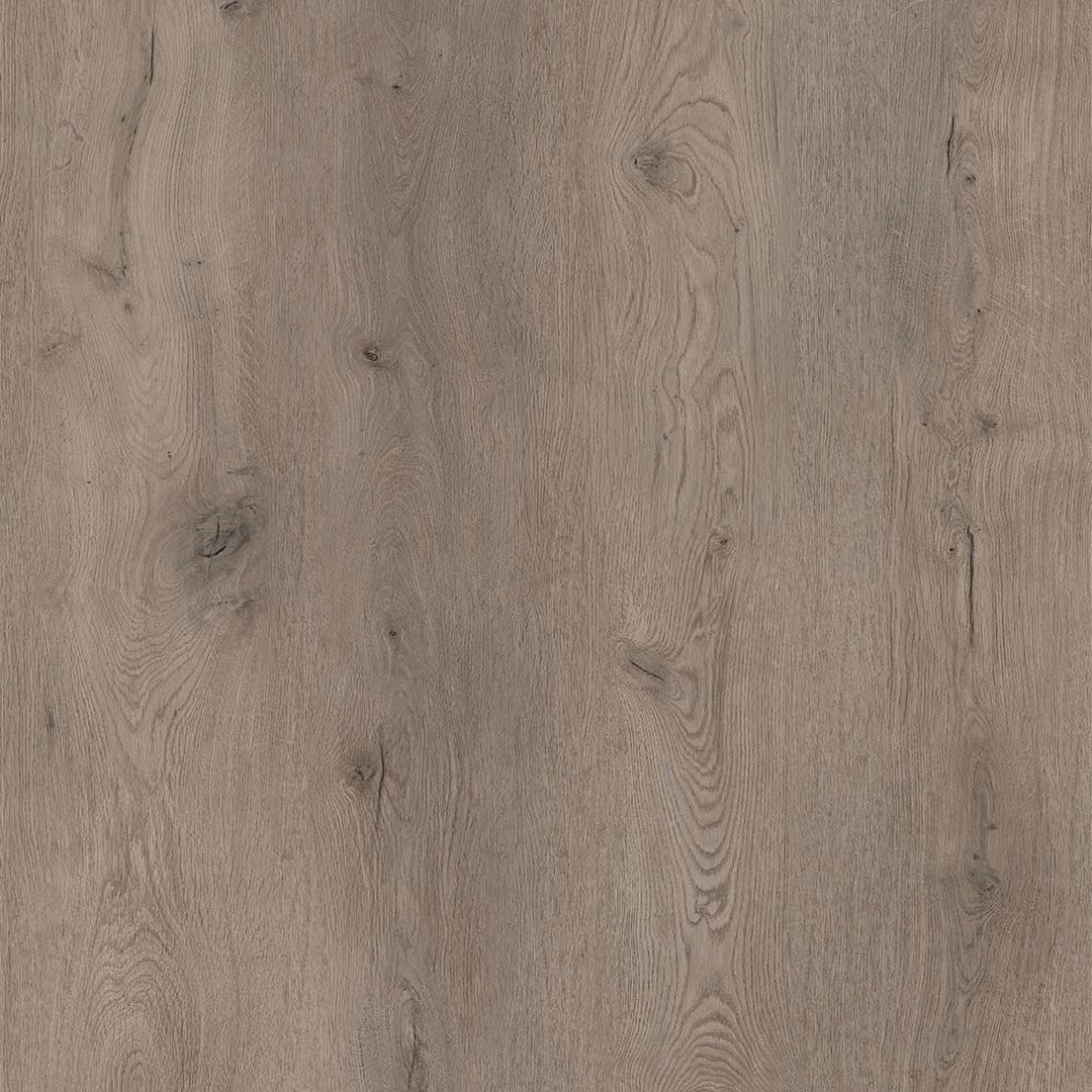 Coretec, XL-END Belvoir, XL-Landhausdiele