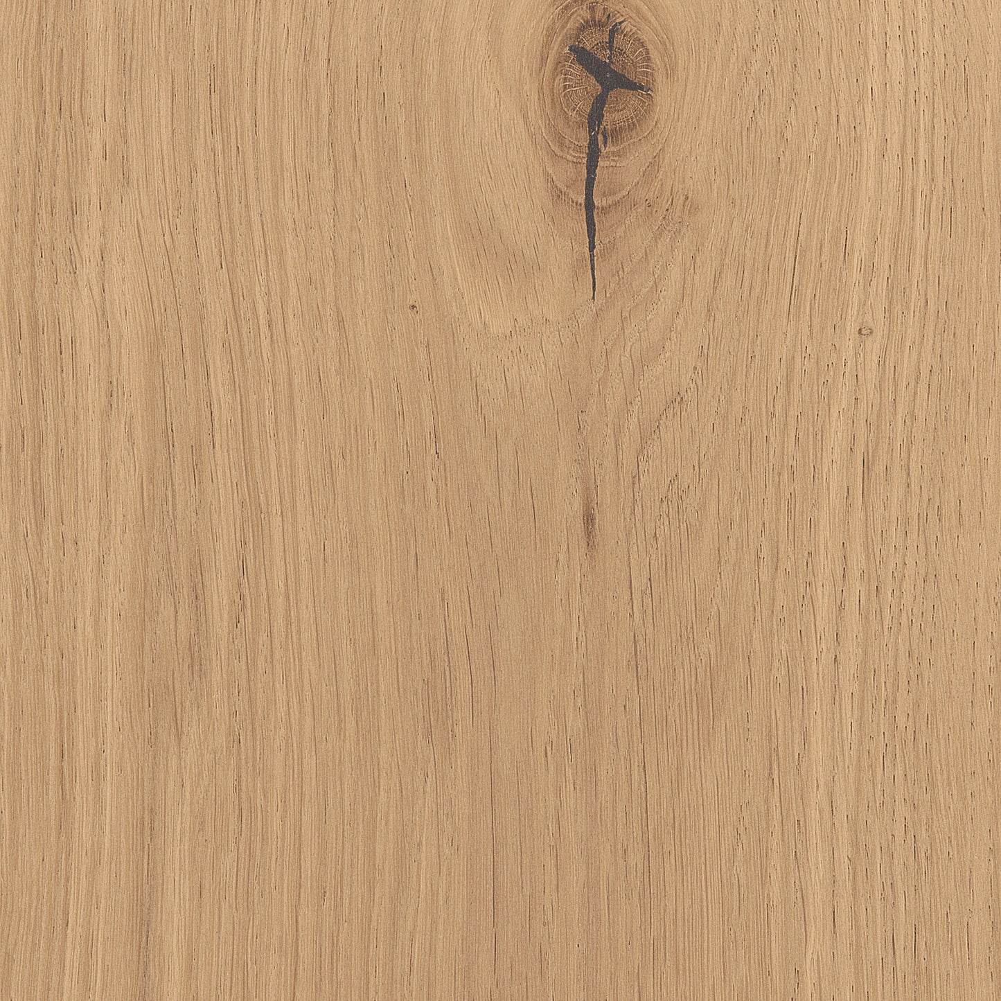 Thede & Witte Boston Landhausdiele Eiche XL astig gebürstet geölt - Rohoptik